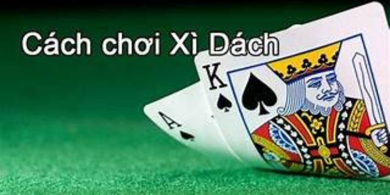 Tìm hiểu cách chơi xì dách cho tân thủ tham khảo